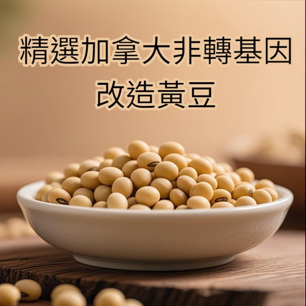 Tai Ma Soy Sauce 460ml 